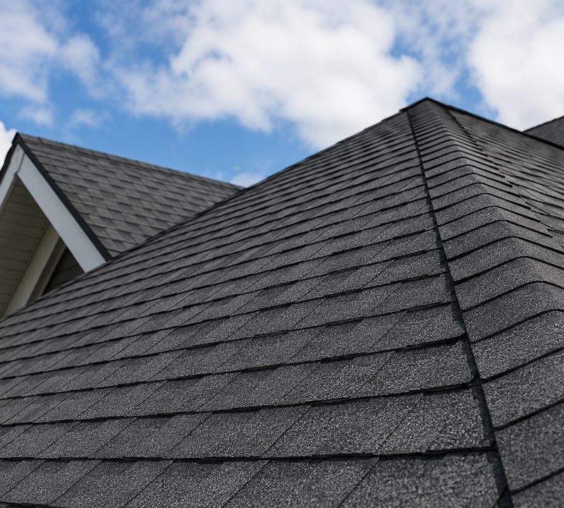 Roof shingles
